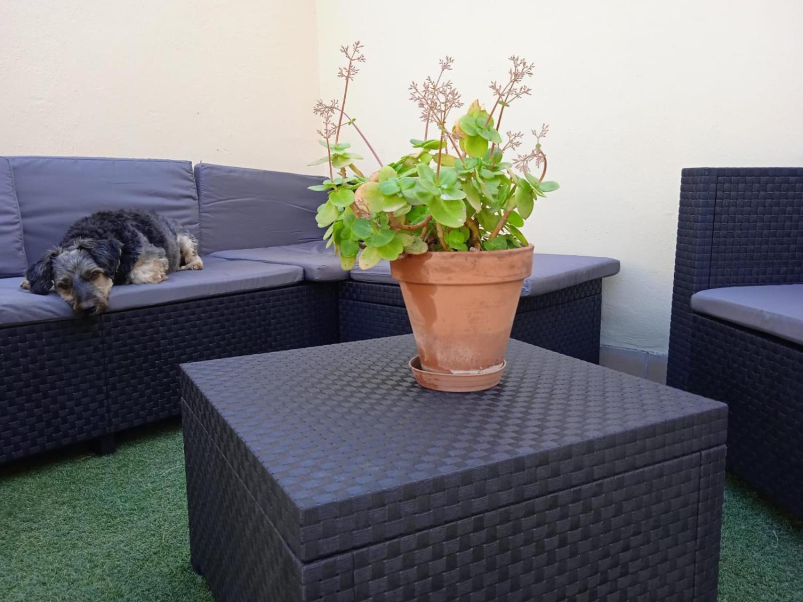 Livingtarifa Apartamento Nano 외부 사진