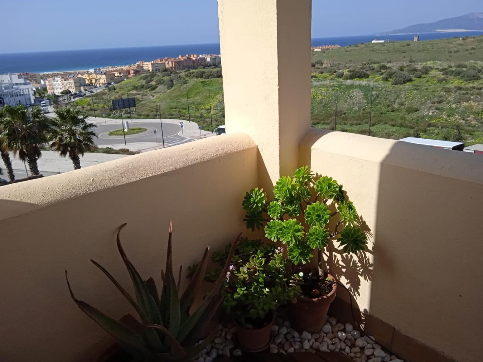 Livingtarifa Apartamento Nano 외부 사진